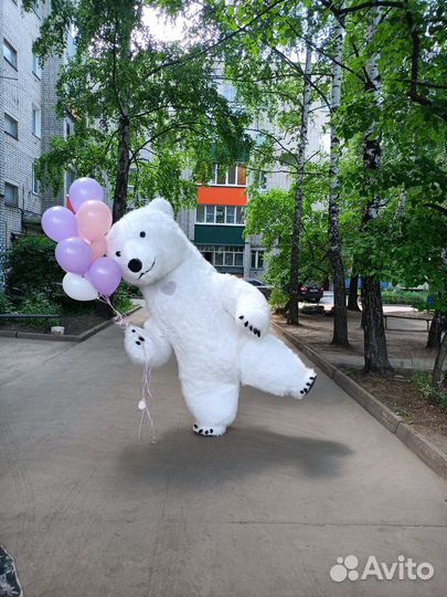 Праздники и мероприятия