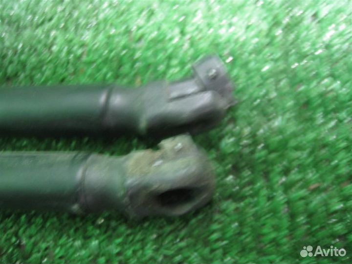 Амортизатор багажника (2 шт) Opel Corsa D 2007