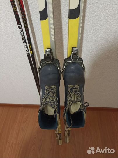 Беговые лыжи Sable