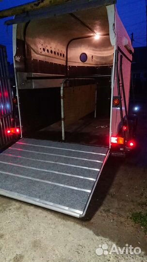 Перевозка Лошадей, крс, мрс и др. животных