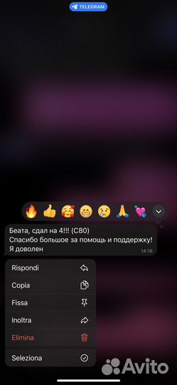 Итальянский и английский язык преподаватель