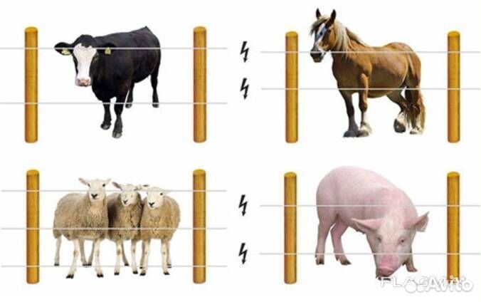 Электропастух для всех