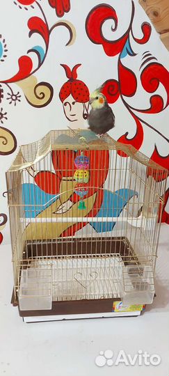 Клетка для птиц, попугая