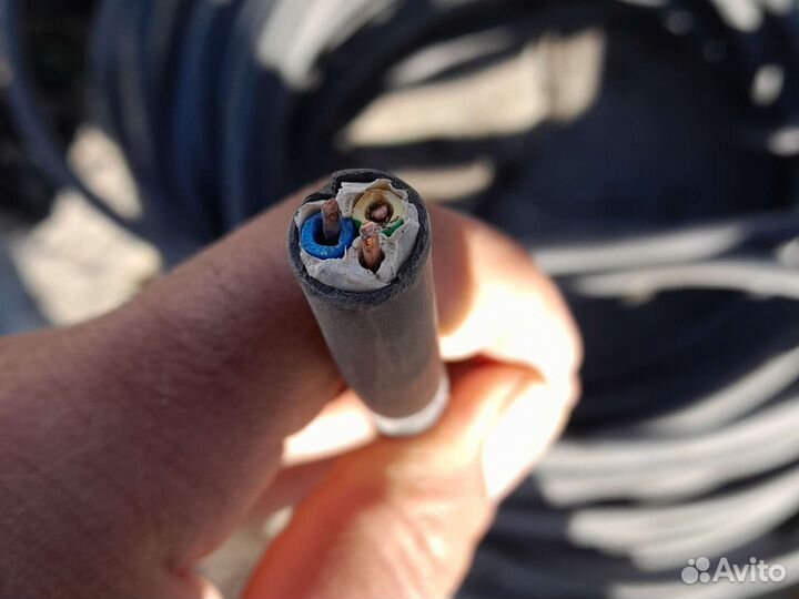 Сетевой кабель торг есть