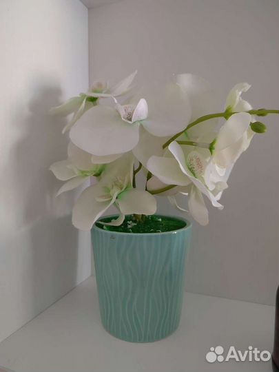 Декоративные композиции растений и цветов