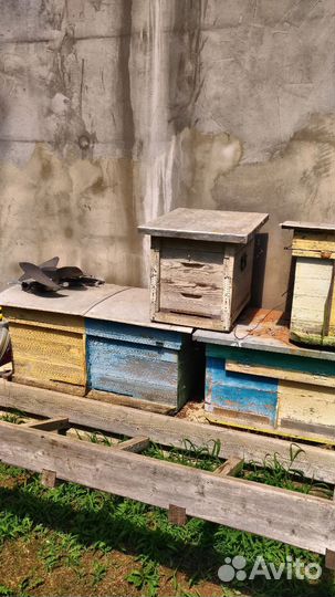 Ульи лежаки