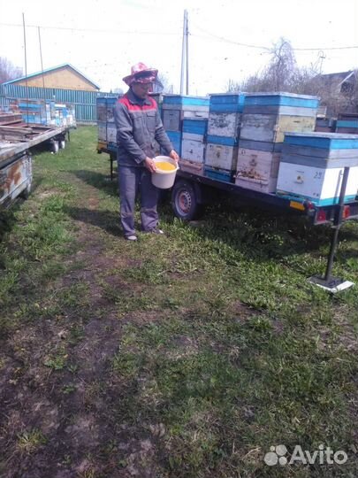 Продам мед оптом