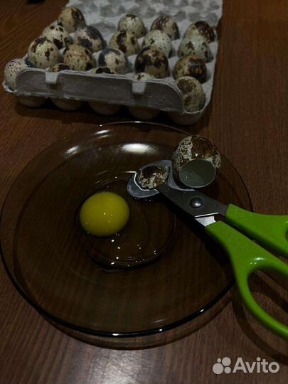 Яйцо перепелинное