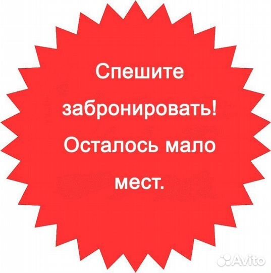 Передержка домашних животных