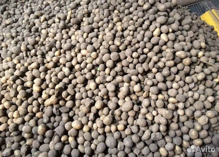 Картофель на корм животным, отходы