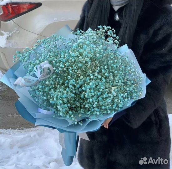 Гипсофила Голладская Цветы Букеты Доставка 24/7