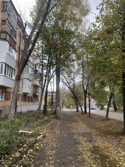 1-к. квартира, 26,7 м², 1/5 эт.