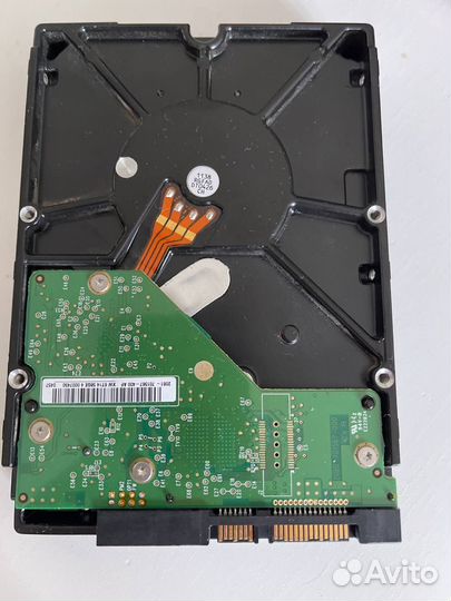 Western Digital Caviar Black 1 Тб WD1001fals