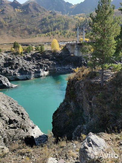 Тур Горный Алтай.Трансфер