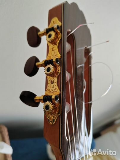 Акустическая гитара kremona fiesta F65CW