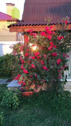 Дом 60 м² на участке 6 сот.