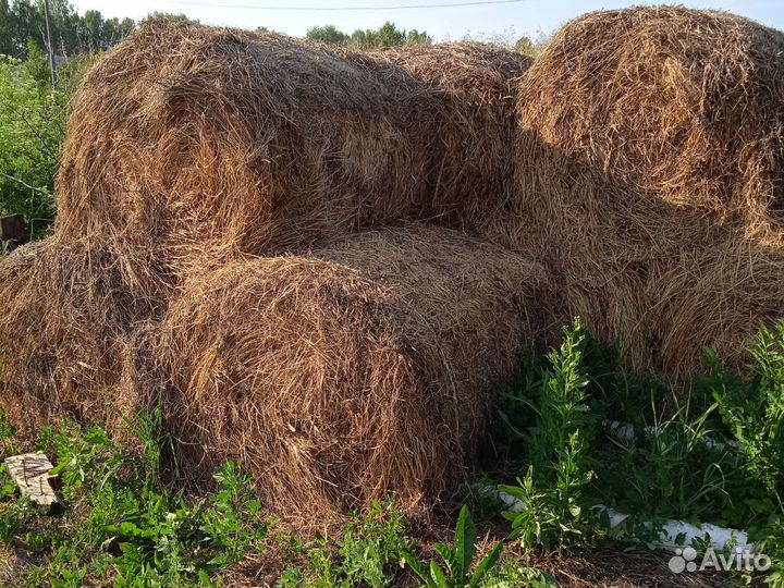 Сено в рулонах