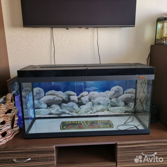 Аквариум