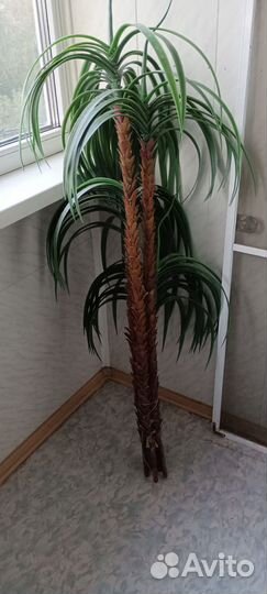 Искусственная пальма бу