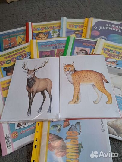 Наглядное пособие