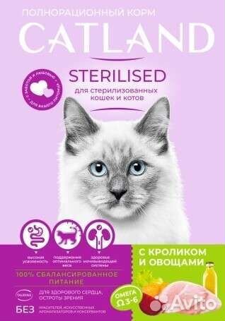 Сухой корм для кошек и котят