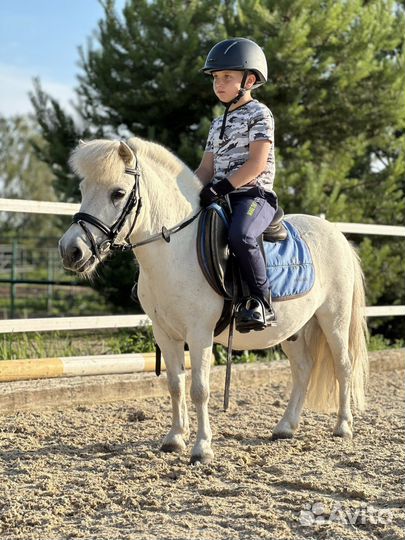 Пони верховая езда