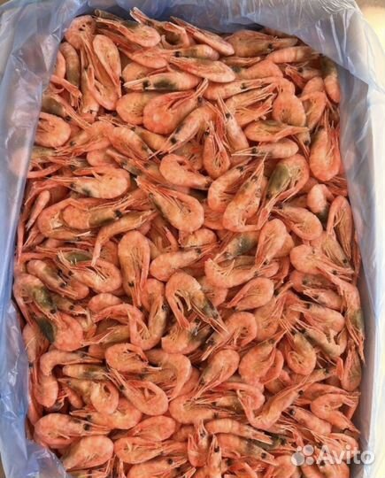 Северные креветки 250+ Мурманск