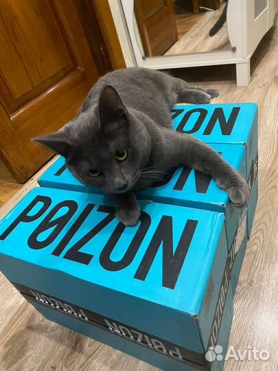 Заказ с Poizon