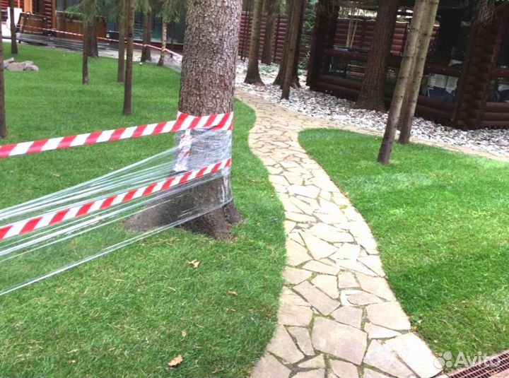 Рулонный газон