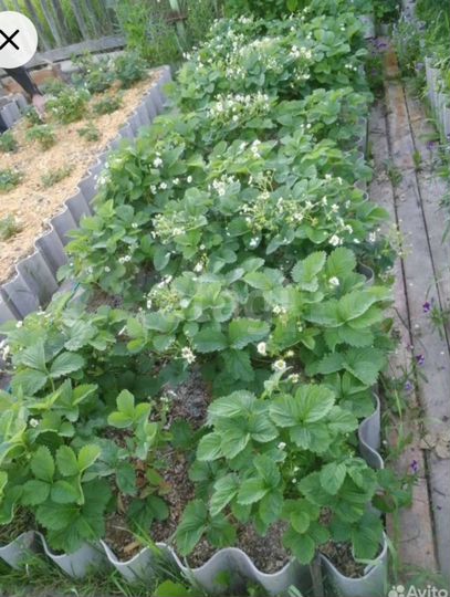 Дача 20 м² на участке 9 сот.