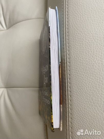 Книга Нэнси Дрю и Тайна 99 ступеней