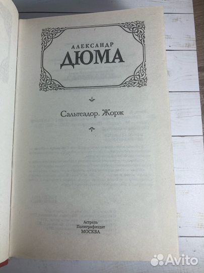 Книга «Сальтеадор. Жорж»