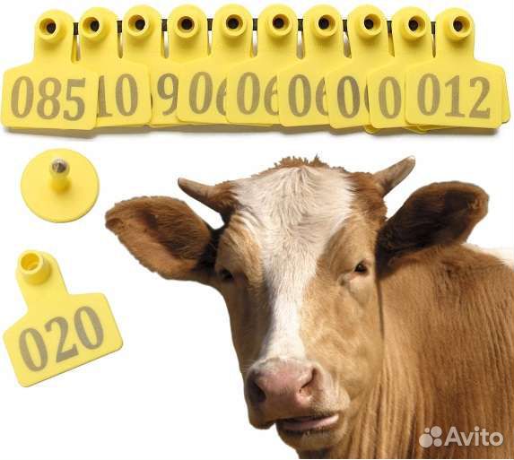 Бирки для животных