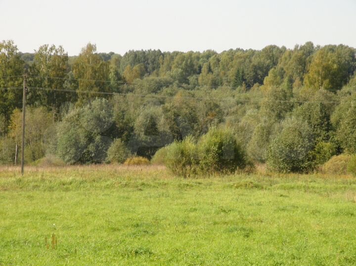 Участок 6 га (СНТ, ДНП)