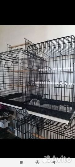 Новые клетки для попугаев