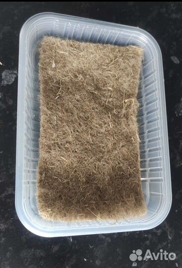 Набор для выращивания микрозелени