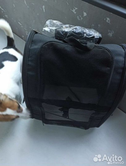 Переноска для собак на колесах в самолёт
