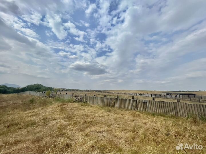 Сельхозферма, участок 50Га