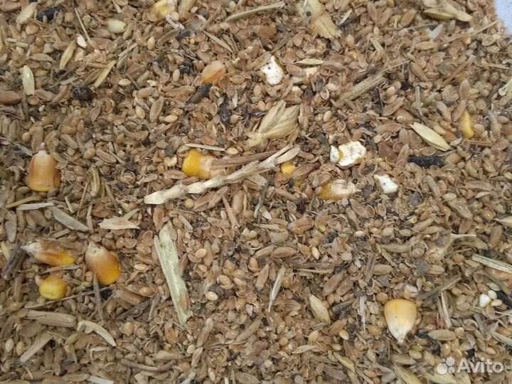 Зерноотходы