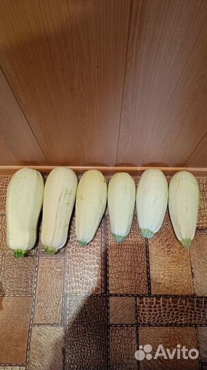 Кабачки свежие