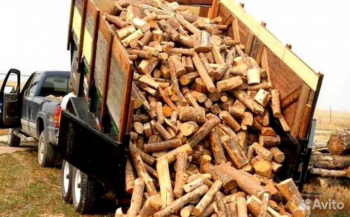 Дрова в СПБ