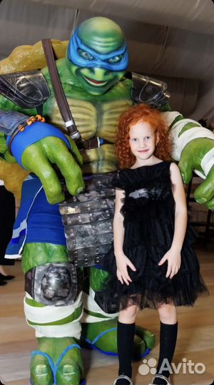 Бамблби и Черепашка ниндзя Аниматор