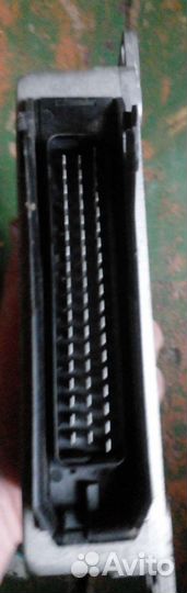 Продам мозги