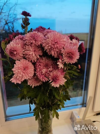 Букет из хризантем к дню учителя