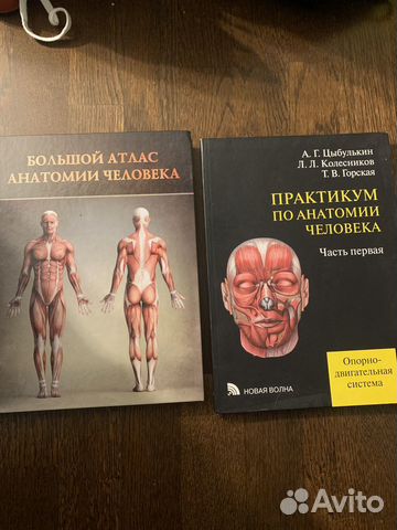 Большой атлас анатомии человека 450 Практикум по анатомии... купить в ...