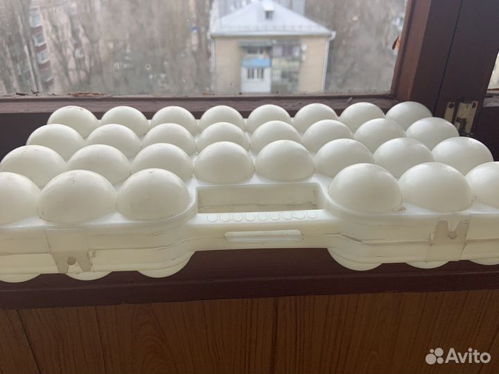 Клетка для яиц