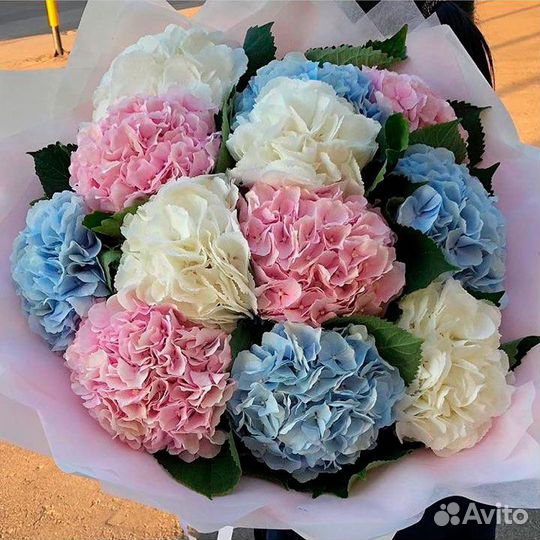 Букет из разноцветных гортензий