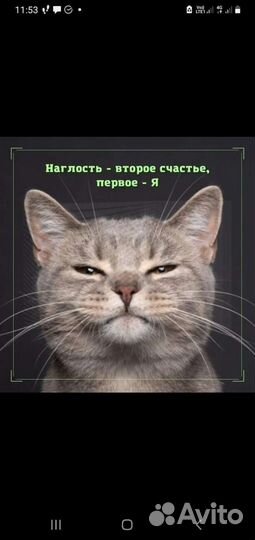 Домашний master,делаю Все