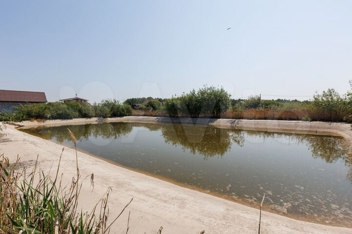 Участок 24 сот. (СНТ, ДНП)