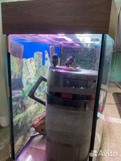 Аквариум